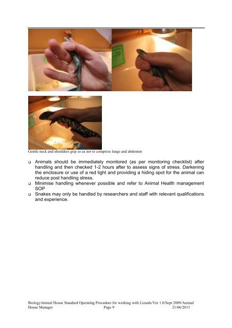 Standard Operating Procedure For Lizards - Flinders University