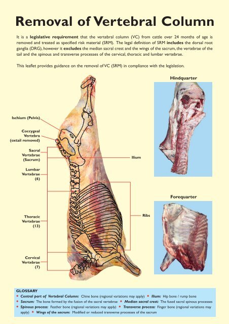 745 Removal of Vertebral Column - Food Standards Agency