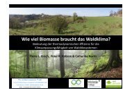 Ibisch_Wieviel Biomasse benötigt das Waldklima