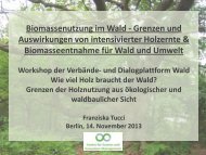 Wälder - Forum Umwelt und Entwicklung