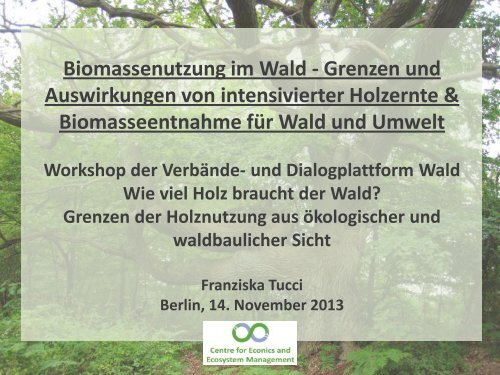 Wälder - Forum Umwelt und Entwicklung