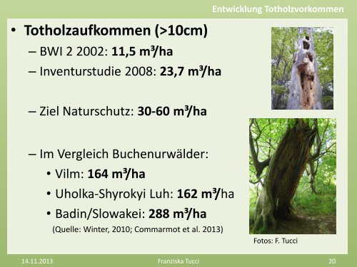 Wälder - Forum Umwelt und Entwicklung