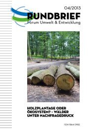 Download des Rundbriefs als PDF - Forum Umwelt und Entwicklung