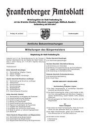 Sonderamtsblatt der Stadt Frankenberg/Sa. vom 19.07.2013