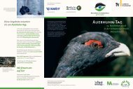 Auerhuhn-Tag - Forstliche Versuchs