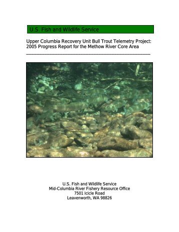 Methow River Bull Trout Telemetry Project - U.S. Fish and Wildlife ...