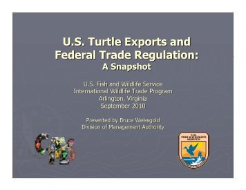 U.S. Turtle Exports and Federal Trade Regulation: A Snapshot