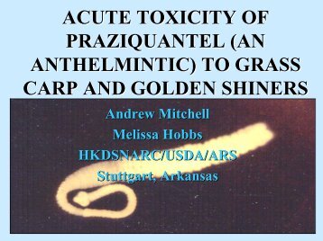 ACUTE TOXICITY OF PRAZIQUANTEL (AN ANTHELMINTIC) TO ...