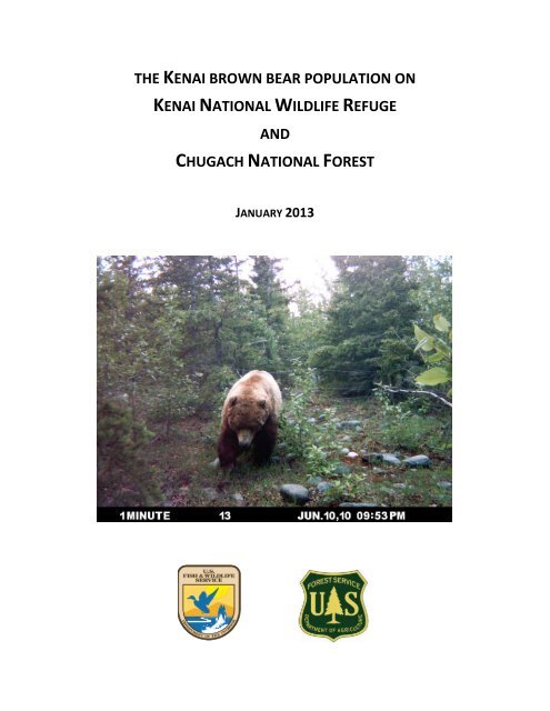 The Kenai Brown Bear Population On U S Fish And Wildlife Service