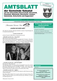 Amtsblatt Nr. 02 vom 7. Februar 2013 (798.38 kB) - Gemeinde Salzatal