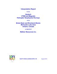 Interpretation Report for the Geotech VTEM and ... - Geology Ontario