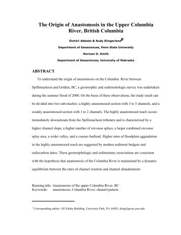 Origin of Anastomosis in the Upper Columbia River - Department of ...