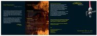 Feuerwehr - Flyer [PDF, 247 KB] - Geroldswil