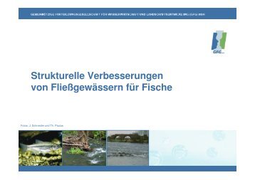 Grundvortrag-Fische Strukturen-x Logo klein NXPowerLite ... - GfG