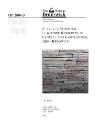 Potential Flagstone Resources - Gouvernement du Nouveau ...