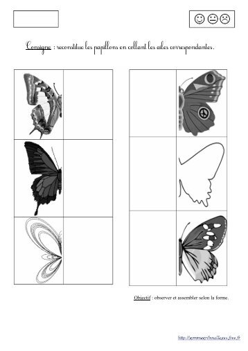reconstitue les papillons en collant les ailes correspondantes.