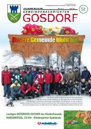 Ausgabe März 2009 - Gosdorf