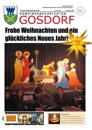 Ausgabe Dezember 2009 - Gosdorf