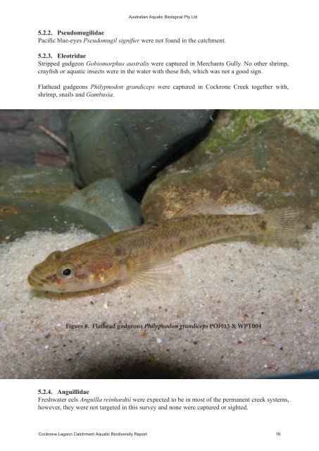 Cockrone Lagoon Aquatic Biological Survey-Final Report (PDF File ...