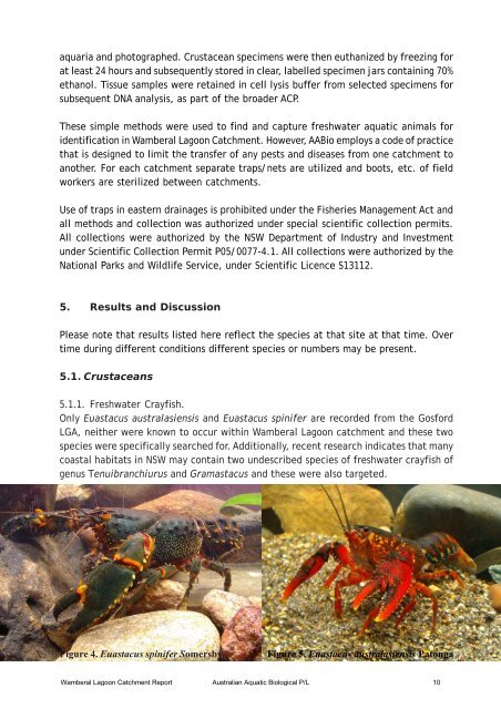 Wamberal Lagoon Catchment Aquatic Survey Final Report (PDF ...