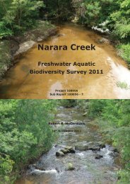 Narara Creek Catchment Aquatic Biodiversity Survey Final Report