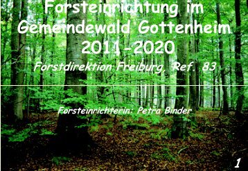 Forsteinrichtung Übersicht - Gottenheim