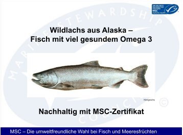 Wildlachs aus Alaska - Gottfried Friedrichs