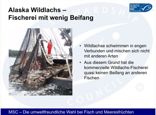 Wildlachs aus Alaska - Gottfried Friedrichs