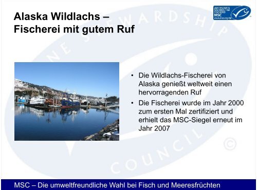 Wildlachs aus Alaska - Gottfried Friedrichs