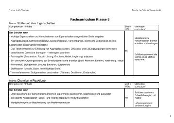 Fachcurriculum Klasse 8 - Host Europe