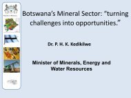 mmewr -indaba 2009 - Government of Botswana