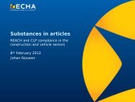 Johan Nouwen - Substances in Articles under REACH v2
