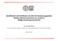 Identifikation und Verifikation von QTLs für Resistenz gegenüber ...