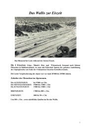 Das Wallis zur Eiszeit und der Riedgletscher (PDF - Grächen