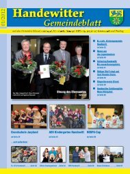 30.04.2012 - Grafik Nissen