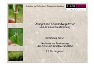 Futtergräser - Grünland und Futterbau/Ökologischer Landbau