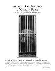 Aversive Conditioning of Grizzly Bears - Greater Yellowstone ...