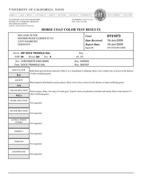horse coat color test results dt21973 - Green Meadows Ranch