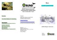 A garden pond for bats BUND Region Hannover - GreenAction