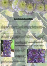 HARDY DELPHINIUM ON THE MOVE - GreenCom