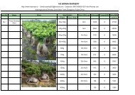 HS- List of ficus bonsai - GreenCom