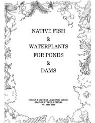 native fish & waterplants for ponds & dams - Noosa and District ...