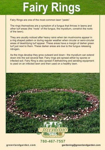 Fairy Rings - Greenland Garden Centre