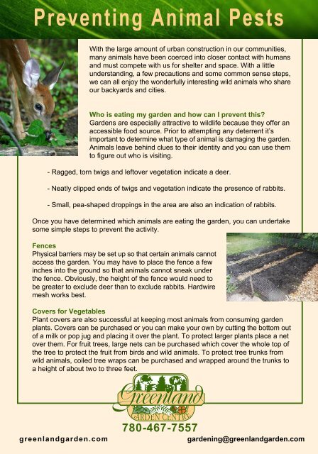 Preventing Animal Pests - Greenland Garden Centre Preventing Animal Pests - Greenland Garden Centre