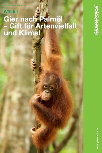 Gier nach Palmöl - Greenpeace-Gruppe Stuttgart