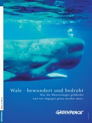 Wale - bewundert und bedroht - Greenpeace-Gruppe Stuttgart