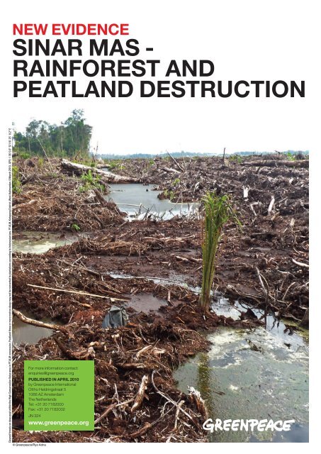 sinar mas - rainforest and peatland destruction - Greenpeace