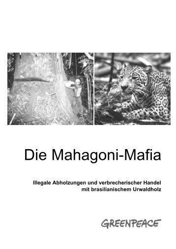 Die Mahagoni-Mafia - Greenpeace