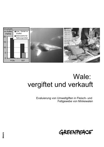 Wale: vergiftet und verkauft VERALTET - Greenpeace