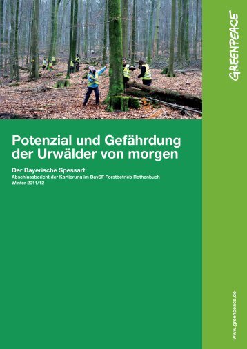 Abschlussbericht: Potenzial und Gefährdung der ... - Greenpeace